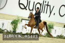 24BUCK_05423 thumbnail