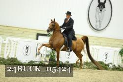 24BUCK_05424 thumbnail