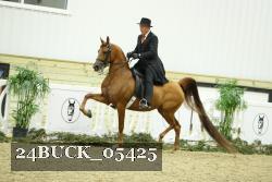 24BUCK_05425 thumbnail