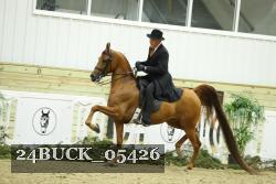 24BUCK_05426 thumbnail
