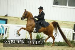 24BUCK_05427 thumbnail