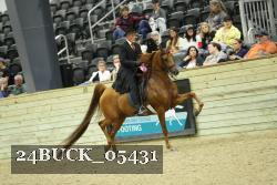 24BUCK_05431 thumbnail