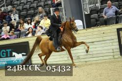 24BUCK_05432 thumbnail