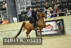 24BUCK_05433 thumbnail
