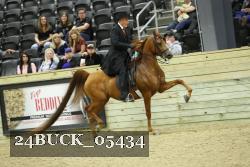 24BUCK_05434 thumbnail
