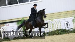 24BUCK_05436 thumbnail