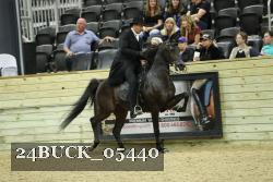 24BUCK_05440 thumbnail