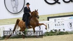 24BUCK_05441 thumbnail