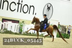 24BUCK_05445 thumbnail
