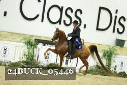 24BUCK_05446 thumbnail