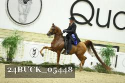 24BUCK_05448 thumbnail