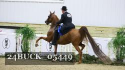 24BUCK_05449 thumbnail