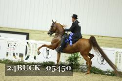 24BUCK_05450 thumbnail