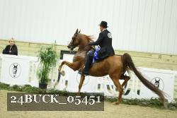 24BUCK_05451 thumbnail