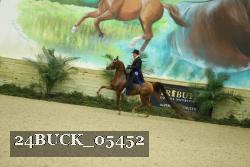 24BUCK_05452 thumbnail
