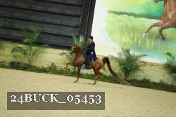 24BUCK_05453 thumbnail