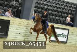 24BUCK_05454 thumbnail