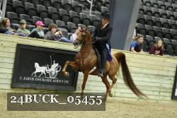 24BUCK_05455 thumbnail