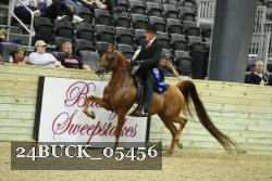 24BUCK_05456 thumbnail
