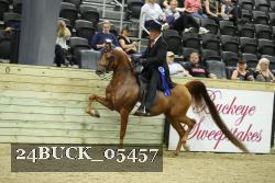 24BUCK_05457 thumbnail