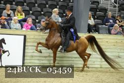 24BUCK_05459 thumbnail