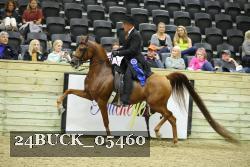24BUCK_05460 thumbnail