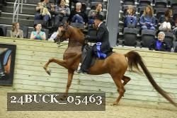 24BUCK_05463 thumbnail