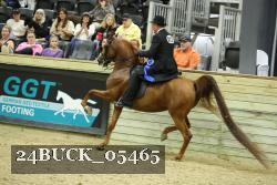 24BUCK_05465 thumbnail