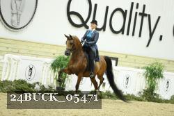 24BUCK_05471 thumbnail