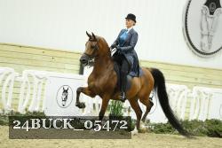 24BUCK_05472 thumbnail