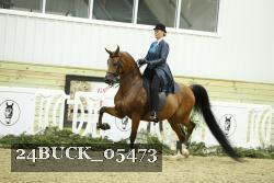 24BUCK_05473 thumbnail