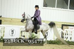 24BUCK_05477 thumbnail