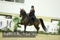 24BUCK_05479 thumbnail