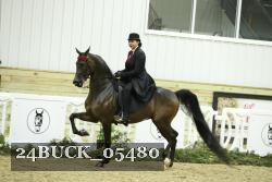 24BUCK_05480 thumbnail