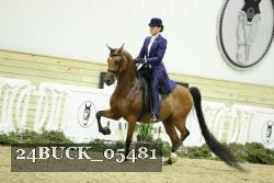 24BUCK_05481 thumbnail