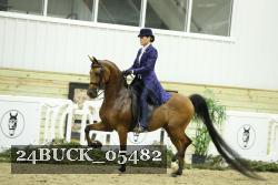 24BUCK_05482 thumbnail