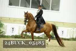 24BUCK_05485 thumbnail