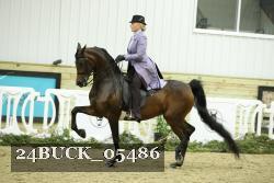 24BUCK_05486 thumbnail