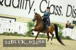 24BUCK_05488 thumbnail