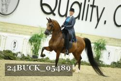 24BUCK_05489 thumbnail