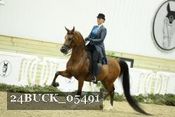 24BUCK_05491 thumbnail