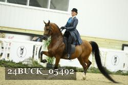 24BUCK_05492 thumbnail