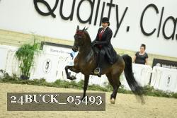24BUCK_05493 thumbnail