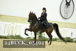 24BUCK_05494 thumbnail