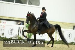 24BUCK_05495 thumbnail