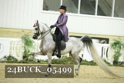 24BUCK_05499 thumbnail