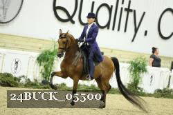 24BUCK_05500 thumbnail