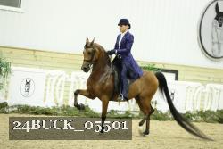 24BUCK_05501 thumbnail