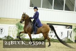 24BUCK_05502 thumbnail