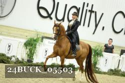 24BUCK_05503 thumbnail